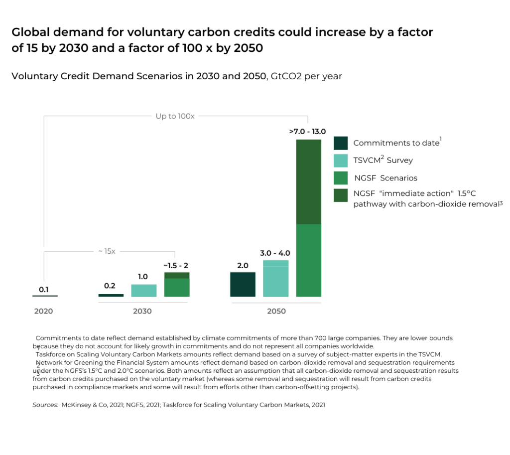 Carbon Credit Global demand VCC 2030 2050 - The Oregon Group - Investment Insights