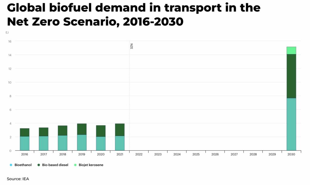 Global biofuel demand in transport in the Net Zero Scenario diesel price - The Oregon Group - Investment Insights