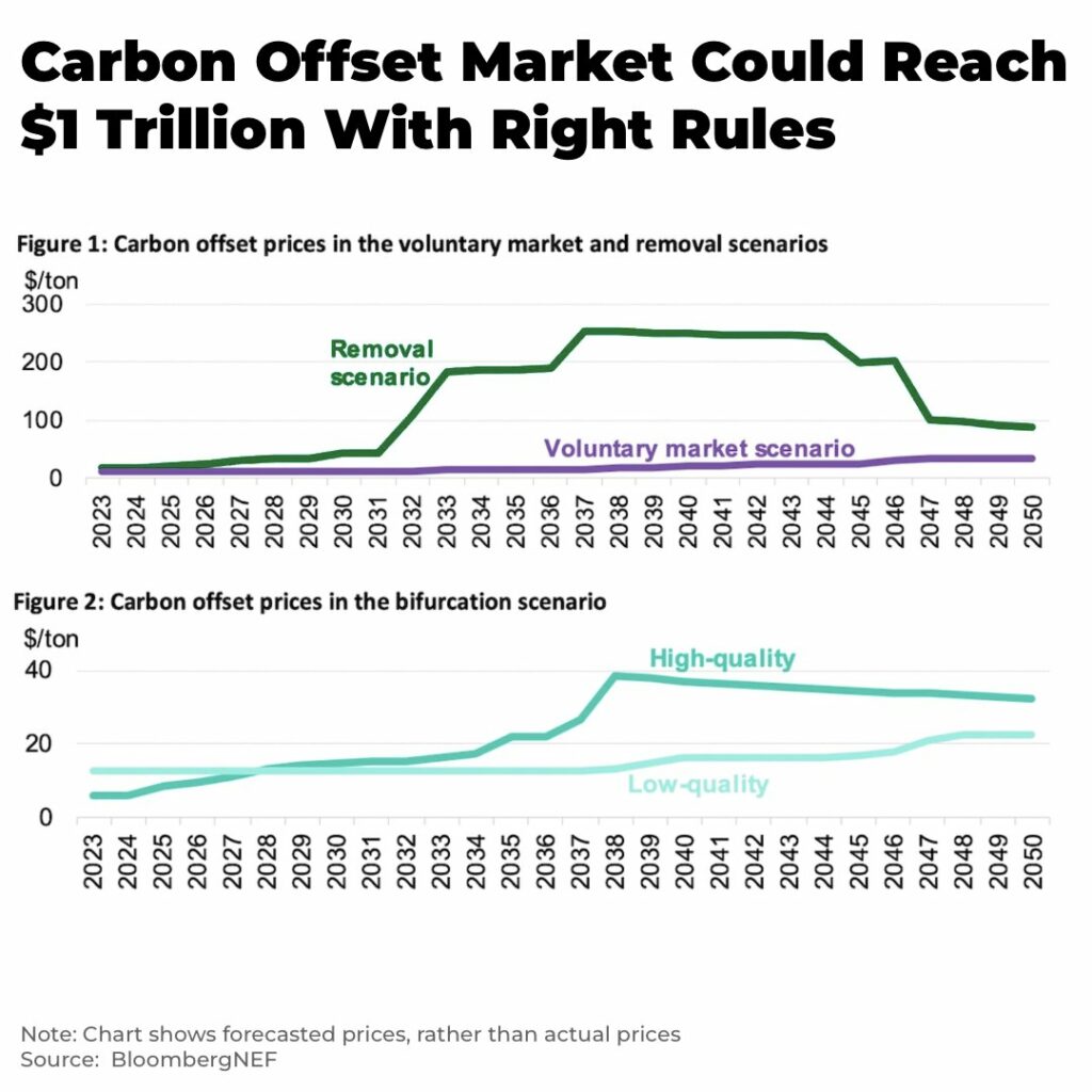 Carbon Offset Market Could Reach 1 Trillion With Right Rules - The Oregon Group - Investment Insights