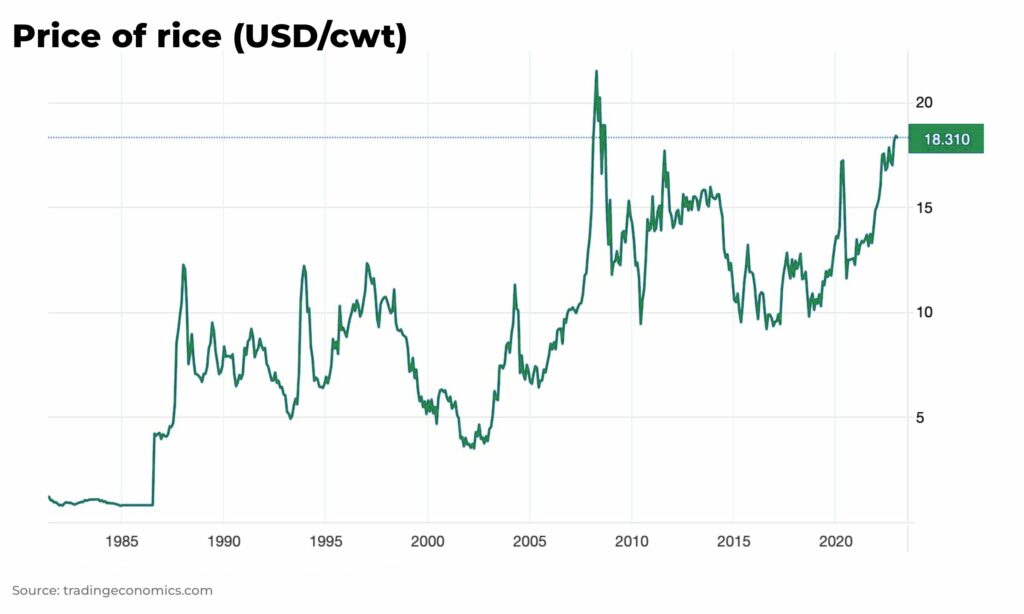 price of rice food inflation - The Oregon Group - Investment Insights