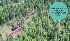 Why junior gold company AMEX Exploration is positioned to be built or bought