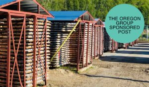 Protected: Exploring the Perron Gold project: how AMEX Exploration is unveiling Quebec’s next major mining district