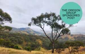 Protected: Golden Cross: on track to define Victoria’s next high-grade gold camp