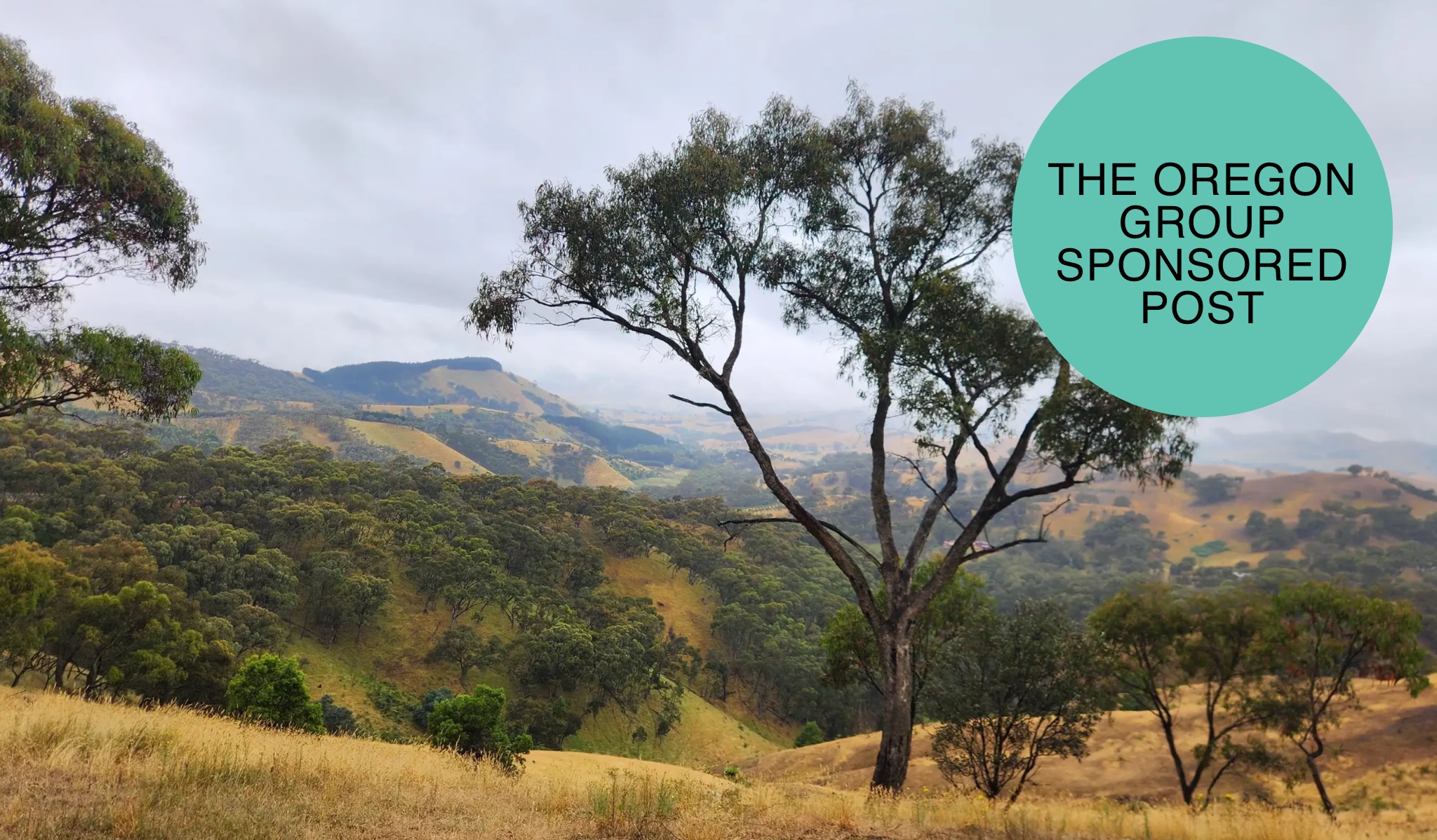 Golden Cross: on track to define Victoria's next high-grade gold