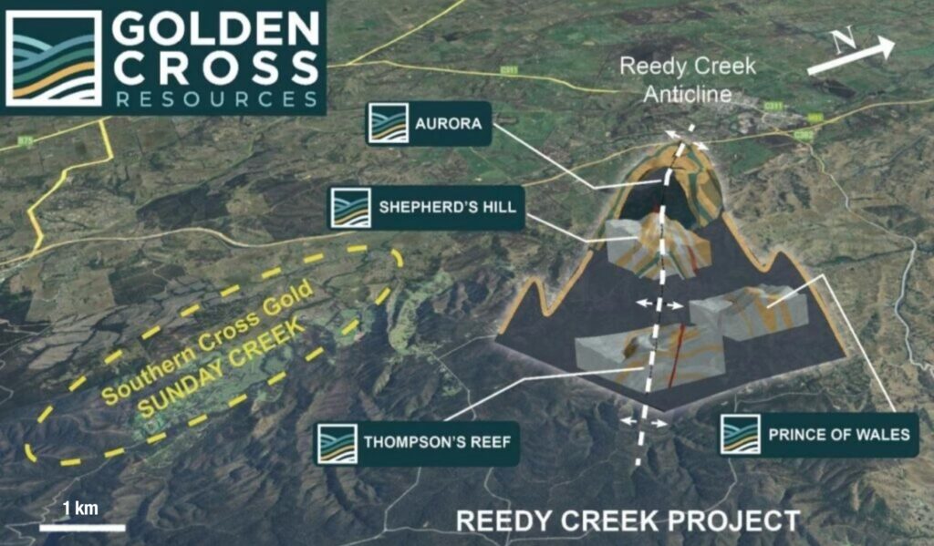 reedy creek project - The Oregon Group - Critical Minerals and Energy Intelligence