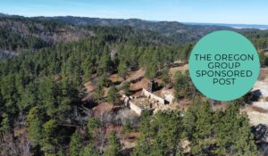 Protected: Lion Rock Resources: first drill results reshape the Volney story