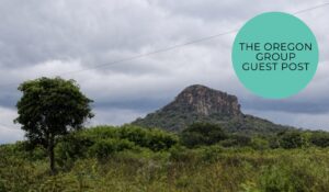 Protected: How Bahia Metals is building a new nickel sulphide story in Brazil