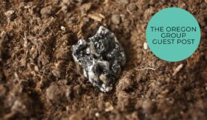 Home Rare Earths 101 understanding the worlds most strategic supply chain Guest Post - The Oregon Group